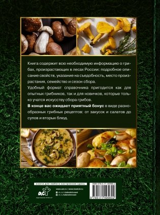 Большая энциклопедия. Грибы. Съедобные и несъедобные. Собираем и готовим. фото книги 17