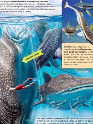 Моря и океаны. Иллюстрированный атлас фото книги 4