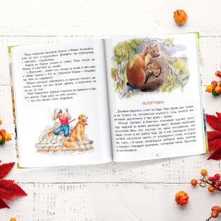 Рассказы для детей фото книги 5