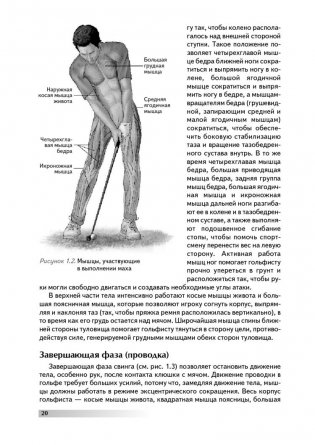 Анатомия гольфа. Иллюстрированное пособие по развитию силы, гибкости и мощности для увеличения дальности ударов, повышения их точности и стабильности показателей фото книги 10
