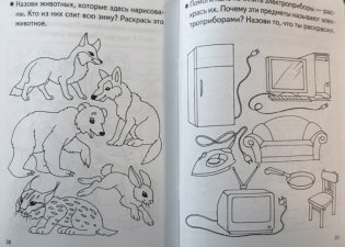 Знакомство с окружающим миром. Для детей 4-5 лет фото книги 5