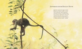 Книга джунглей фото книги 7