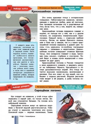 Красная книга России фото книги 10