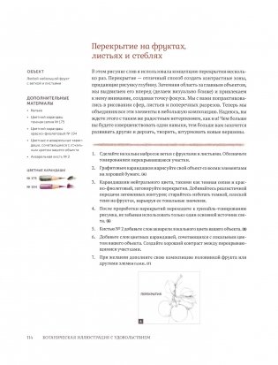 Ботаническая иллюстрация с удовольствием. Пошаговое руководство по изображению цветов, листьев, плодов и других элементов растений фото книги 17