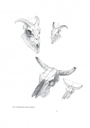 Рисунок. Основы учебного академического рисунка фото книги 7