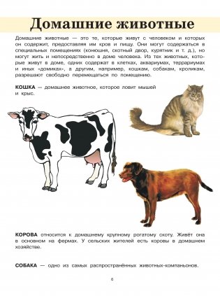 Животные фото книги 2