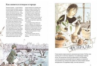 Календарь Линнеи фото книги 3
