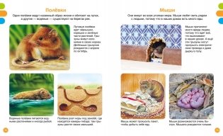 Животные-малютки фото книги 5