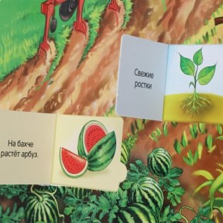 Животные фото книги 4