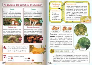 Ласункі агарода, саду, лесу. Узбагачаем слоўнікавы запас, выконваем заданні, пашыраем кругагляд (6-10 гадоў) фото книги 9