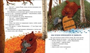 Как Ежик с Медвежонком протирали звезды фото книги 6