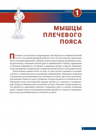 Анатомия бодибилдинга (новая редакция) фото книги 6