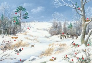 Времена года. Иллюстрированная энциклопедия фото книги 3