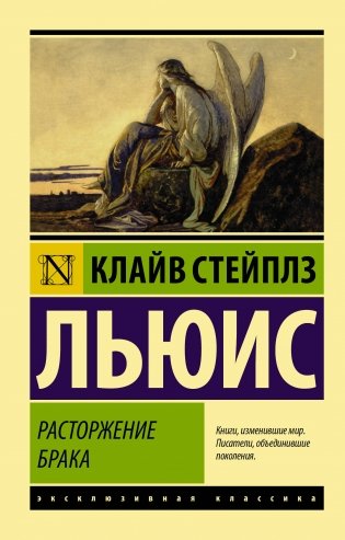 Расторжение брака фото книги