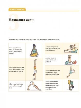 Анатомия йоги простыми словами. Иллюстрированное пособие по упражнениям и асанам фото книги 9