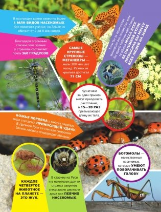 Большая энциклопедия о насекомых. 500 фотографий и фактов фото книги 2