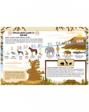 Большая энциклопедия CLEVER. Земля от атома до галактики. Масштабы мира в цифрах фото книги 5