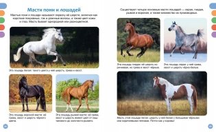 Лошади фото книги 6