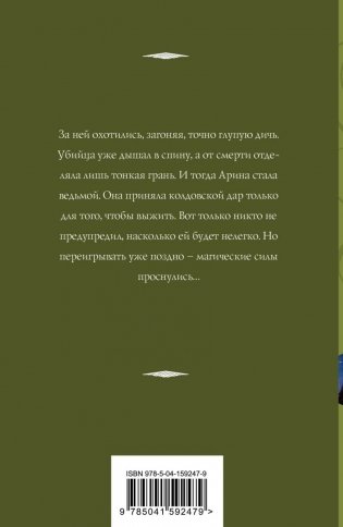 Не буди ведьму фото книги 17