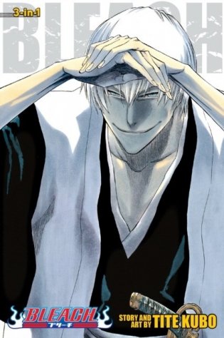 Bleach фото книги