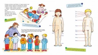 Конни изучает тело + картон фото книги 2