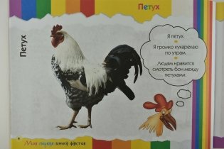 Моя первая книга фактов. Ферма фото книги 3