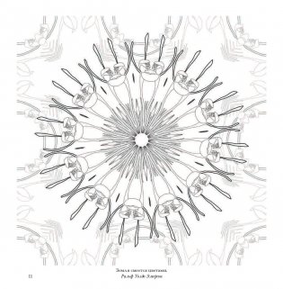 Флоросфера. Вдохновение фото книги 14