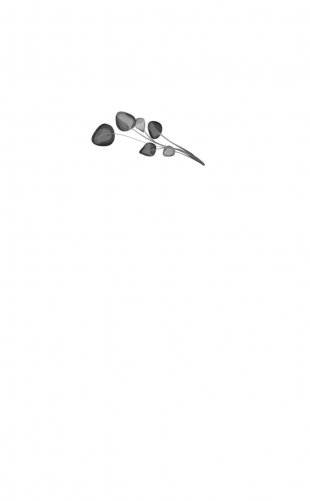 Передружба. Второй шанс фото книги 2