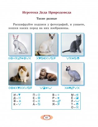 Ребятам о домашних кошках фото книги 4