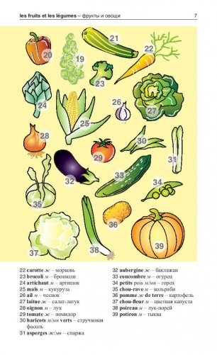 Французский язык в картинках. 500 самых употребительных слов на каждый день. Разговорник фото книги 3