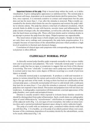 Терапевтическая стоматология. Клиническая эндодонтия (на англ. языке) фото книги 7
