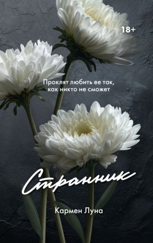 Странник фото книги