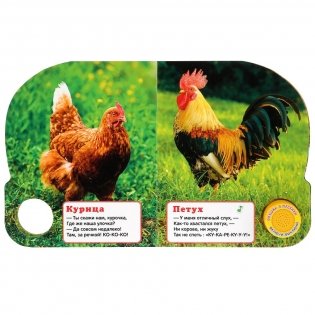 Кто как говорит фото книги 2