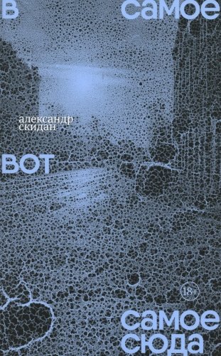 В самое вот самое сюда: Стихи 2020–2023 фото книги