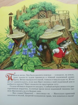 Ветер в ивах: Мистер Крот и остальные фото книги 2