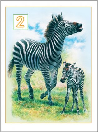 Я считаю до пяти. Для занятий с детьми от 3 до 4 лет фото книги 4