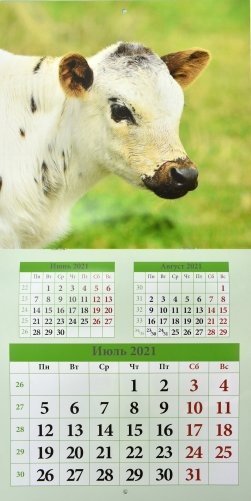 Символ года. Вид 1. Календарь настенный перекидной на скрепке на 2021 год фото книги 2