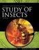 Borror's intro study of insects 7e фото книги маленькое 2