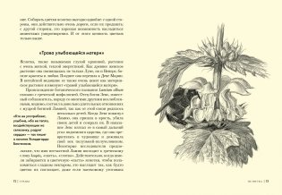 Травы. Природный источник жизненной силы фото книги 8