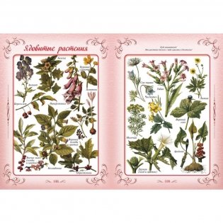 Первая книга наших прабабушек фото книги 6