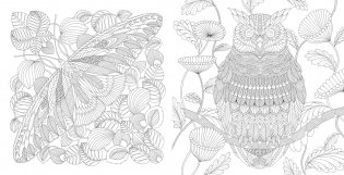 Чудеса природы. Золотая коллекция любимых иллюстраций фото книги 2