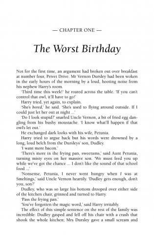 Harry Potter 2 and the Chamber of Secrets фото книги 9