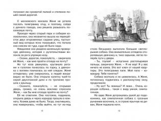 Тимур и его команда фото книги 5