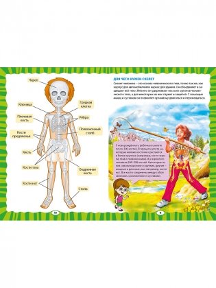 Как устроен человек. Первая энциклопедия для малышей фото книги 5