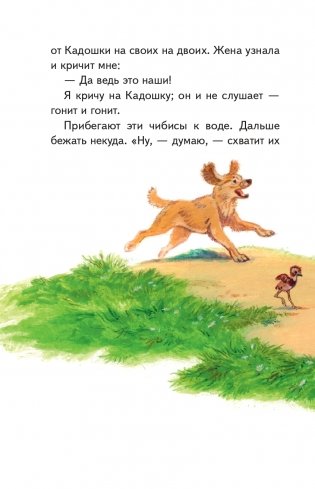 Рассказы о природе (ил. С. Ярового) фото книги 12