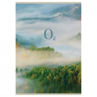 Тетрадь 48л., А4, клетка BG "Лето", эконом. Арт. Т4ск48 60320 фото книги 5