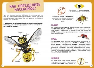 Самые необычные животные и места мира фото книги 4