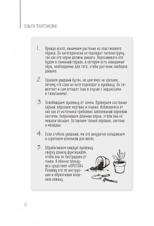 Мы из Дачкино. Советы без занудства для новых дачников фото книги 12