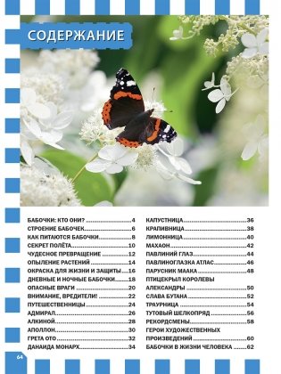 Бабочки. Детская энциклопедия фото книги 9