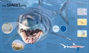 Explanatorium of Nature фото книги 7